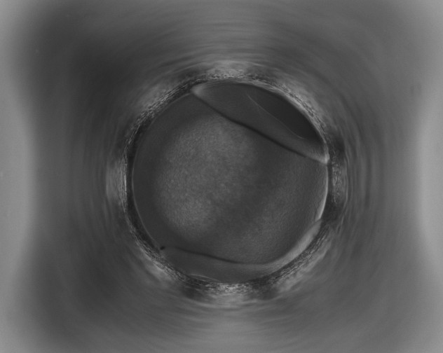 X0000116420493200912151001