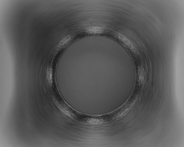 X0000116420494200912151001