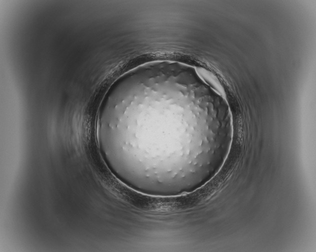 X0000116420495200912151001