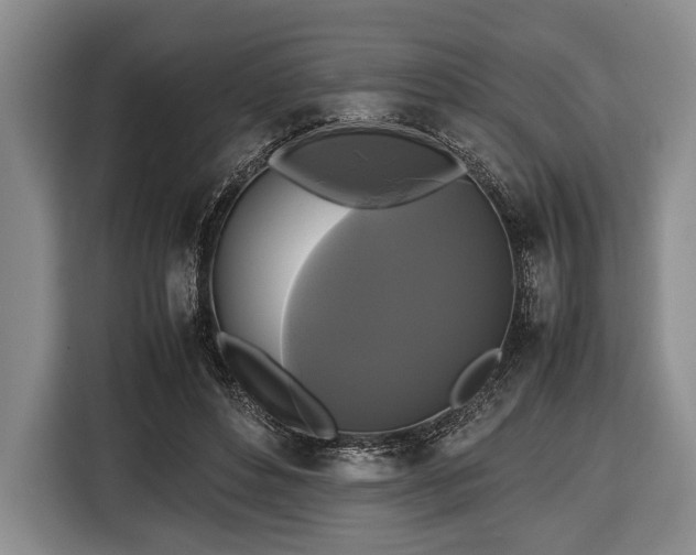 X0000116420496200912151001