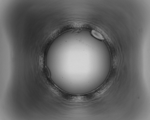 X0000116420497200912151001