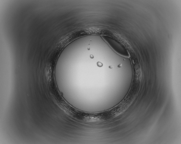 X0000116420498200912151001
