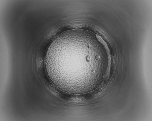 X0000116420499200912151001