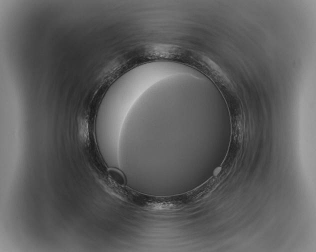 X0000116420500200912151001