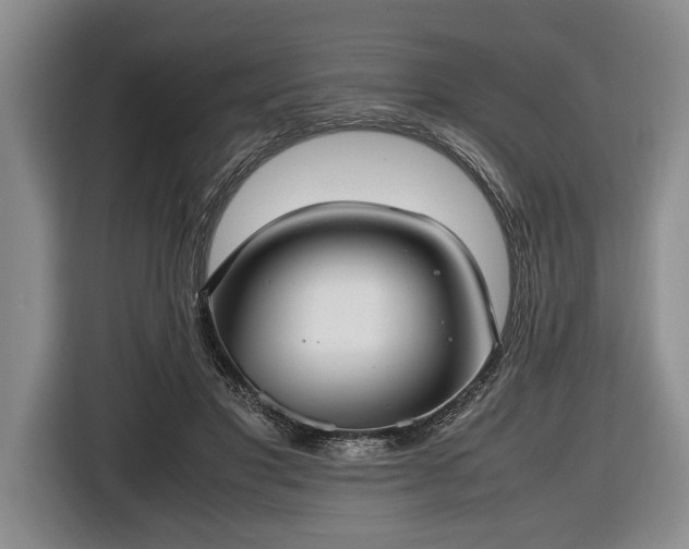 X0000116420501200912151001