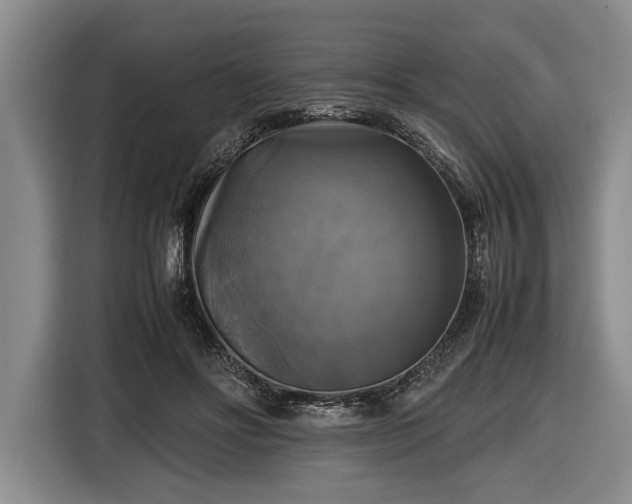 X0000116420502200912151001