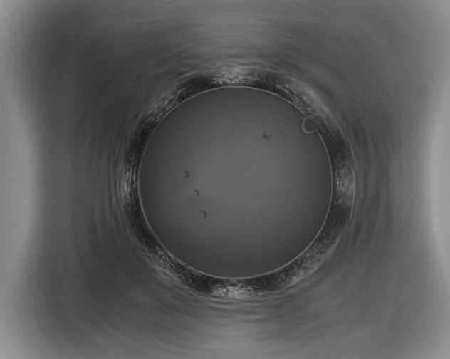 X0000116420503200912151001