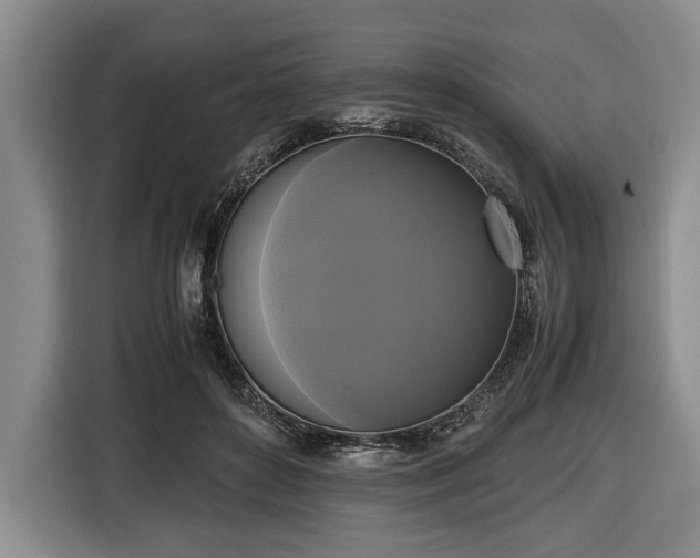 X0000116420504200912151001