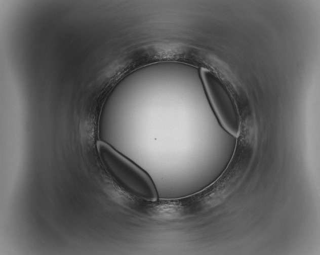 X0000116420505200912151001