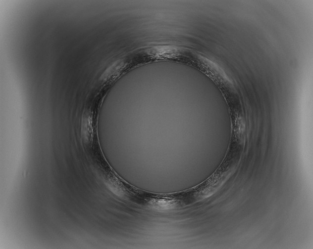 X0000116420506200912151001