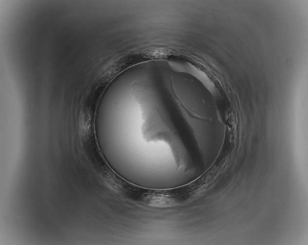 X0000116420507200912151001