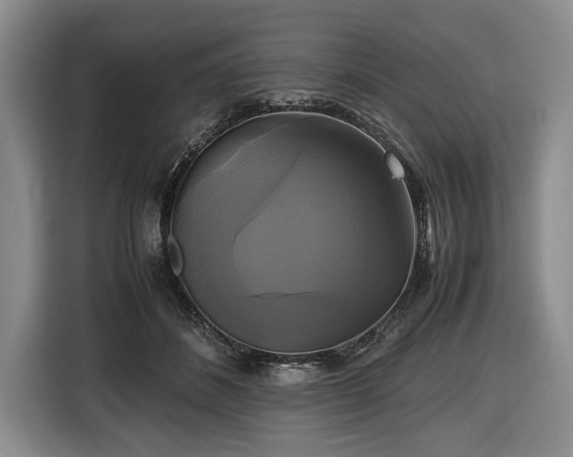 X0000116420508200912151001