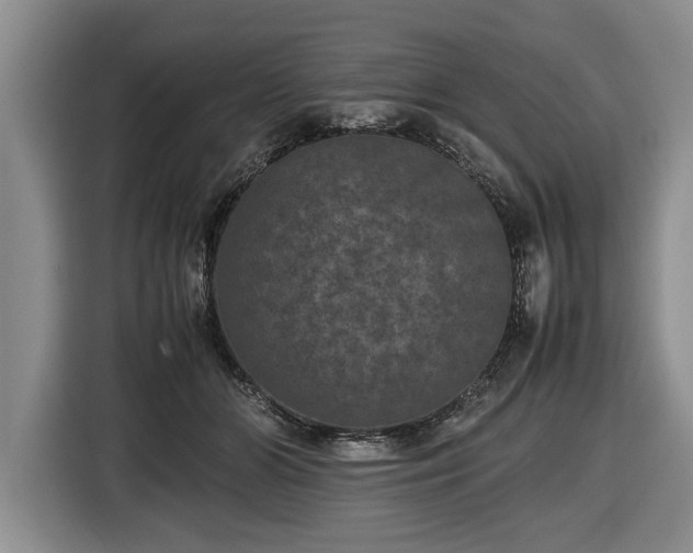 X0000116420510200912151001