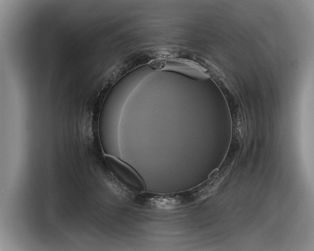 X0000116420512200912151001