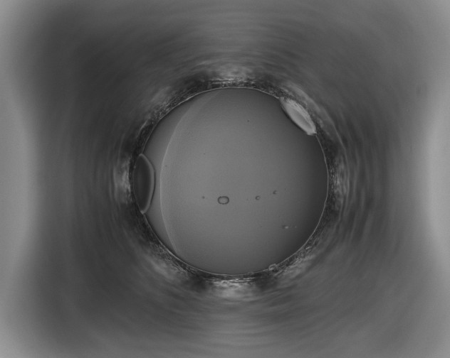 X0000116420516200912151001
