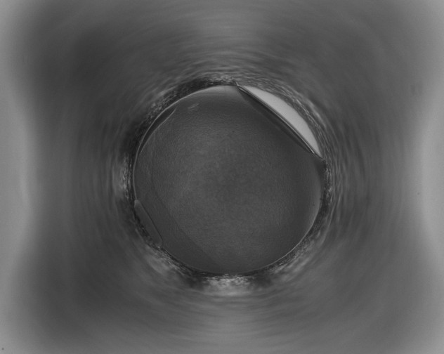 X0000116420517200912151001