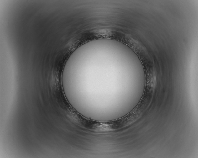 X0000116420518200912151001