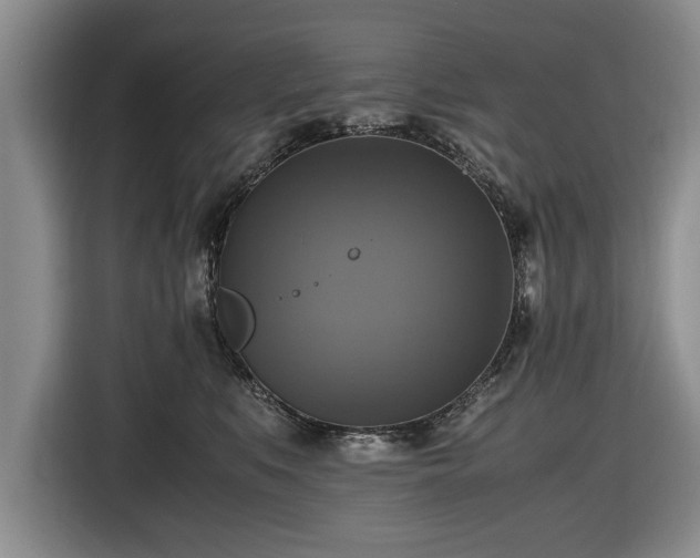 X0000116420519200912151001
