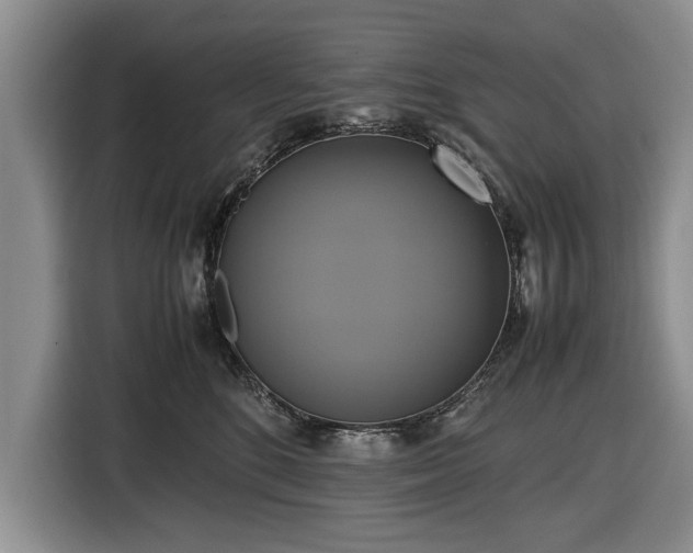 X0000116420520200912151001