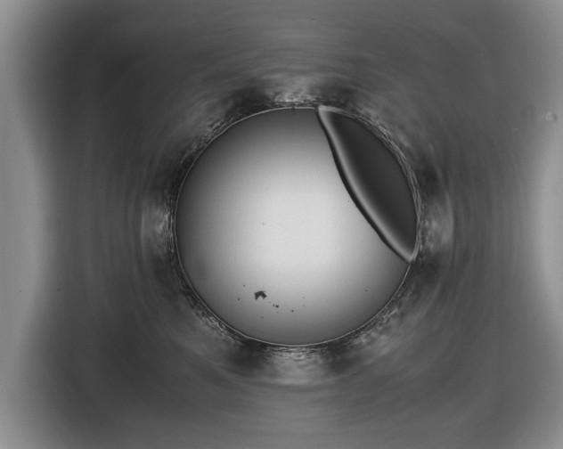X0000116420521200912151001
