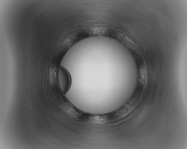 X0000116420522200912151001