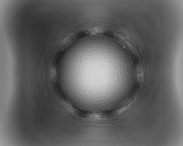 X0000116420523200912151001
