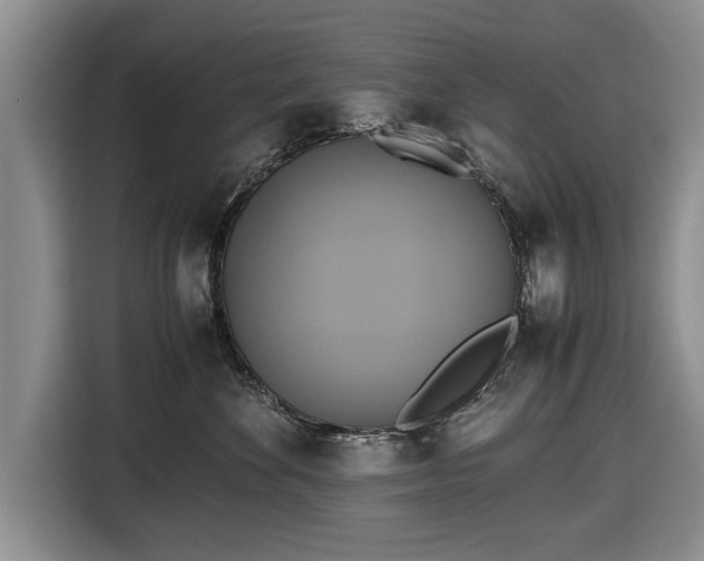 X0000116420524200912151001