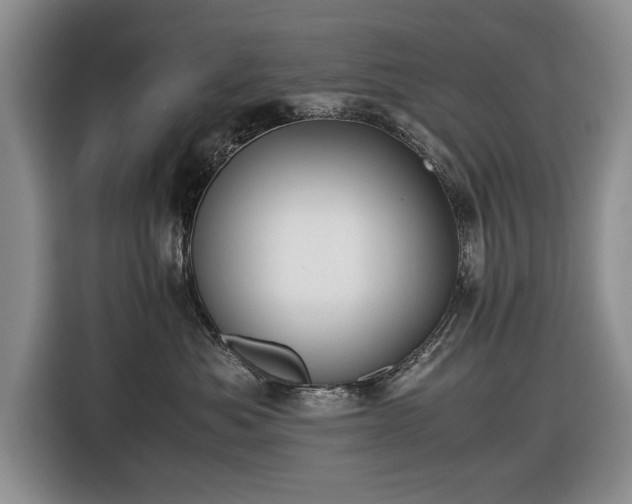 X0000116420525200912151001