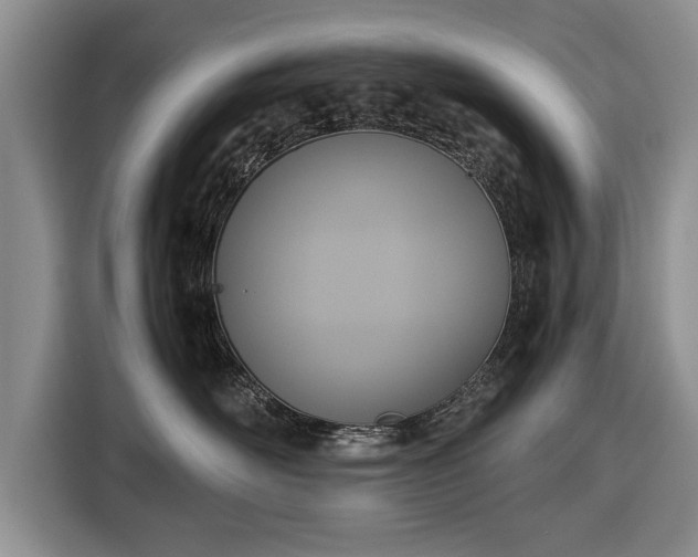 X0000116420526200912151001
