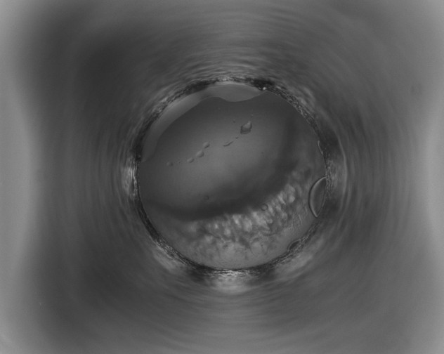X0000116420527200912151001