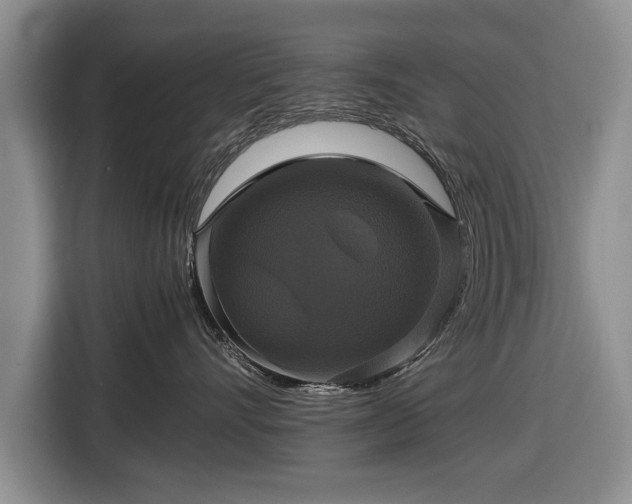 X0000116420528200912151001