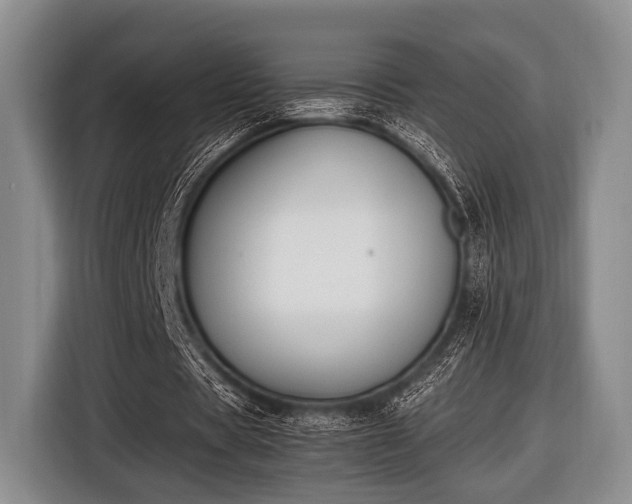 X0000116420529200912151000