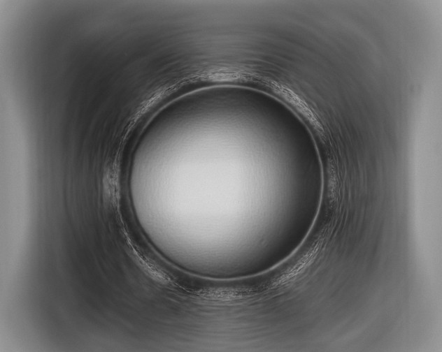 X0000116420530200912151000