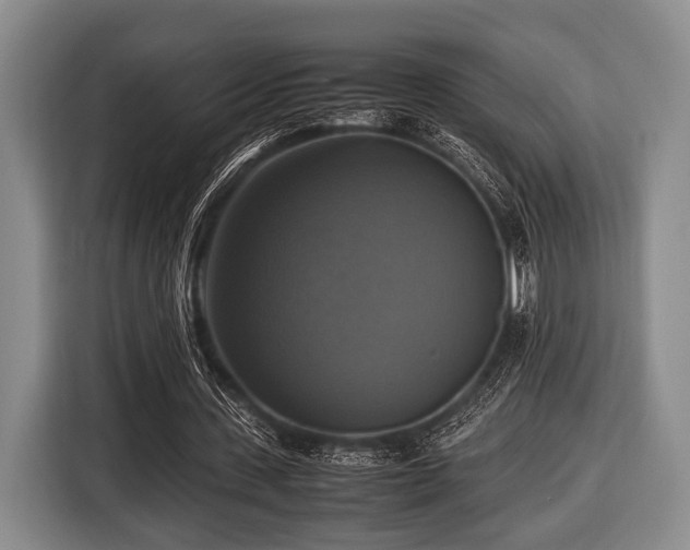 X0000116420531200912151000