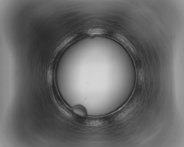 X0000116420533200912151000