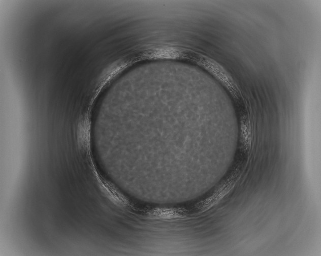 X0000116420534200912151000
