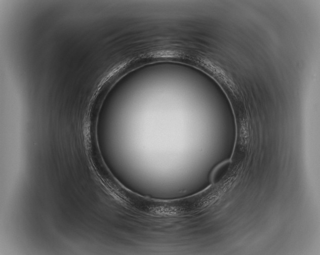 X0000116420535200912151000