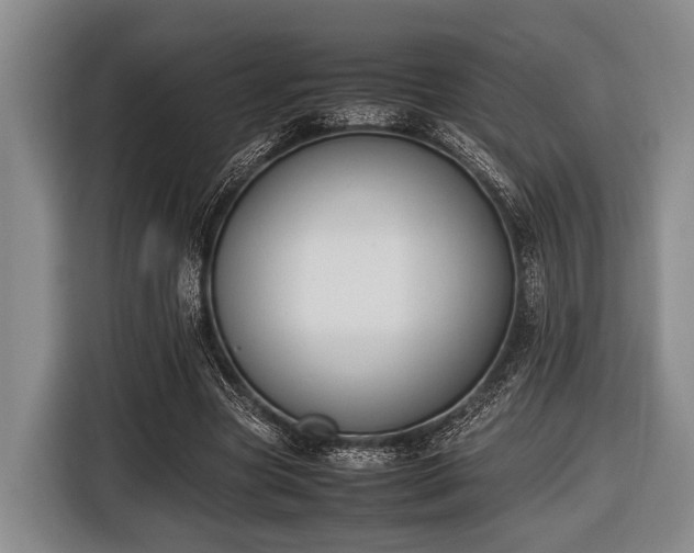 X0000116420537200912151000