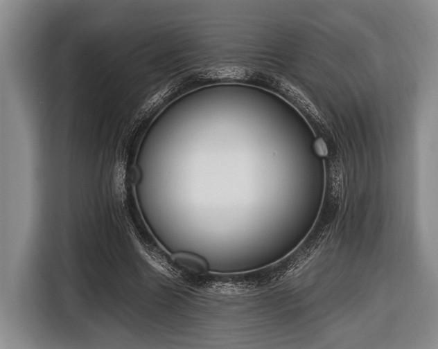 X0000116420538200912151000