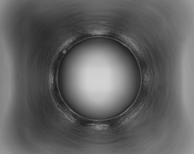 X0000116420539200912151000