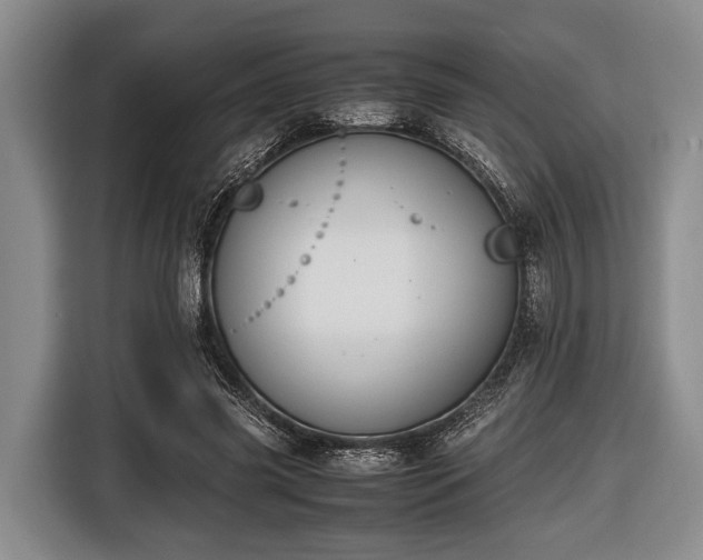 X0000116420541200912151000