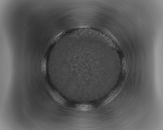 X0000116420542200912151000