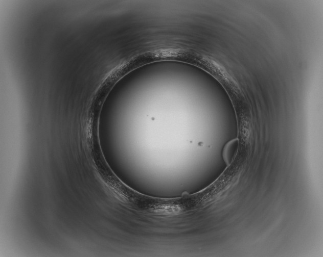 X0000116420543200912151000