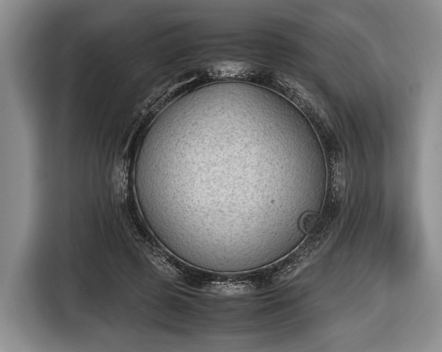X0000116420545200912151000