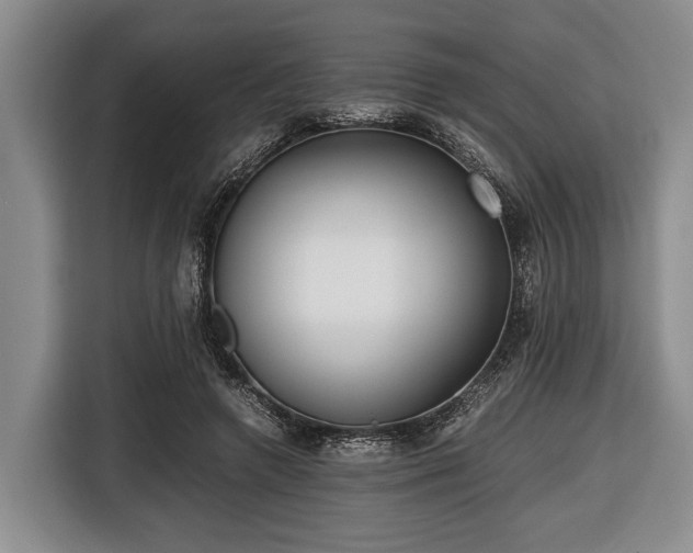 X0000116420546200912151000