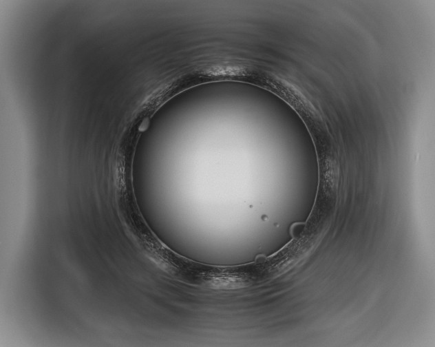 X0000116420547200912151000