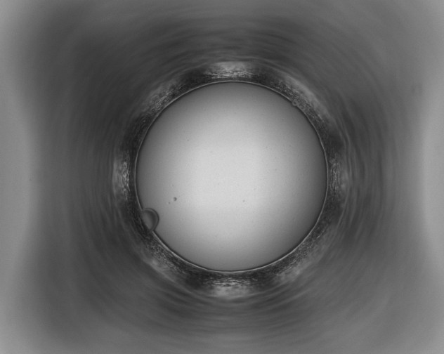 X0000116420549200912151000