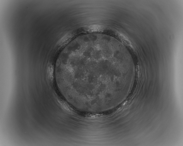 X0000116420550200912151000