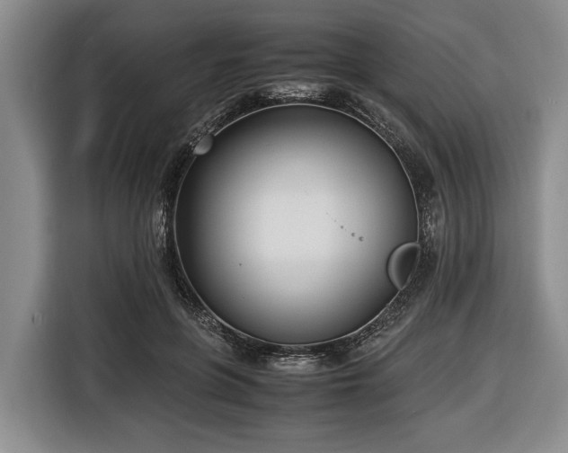 X0000116420551200912151000