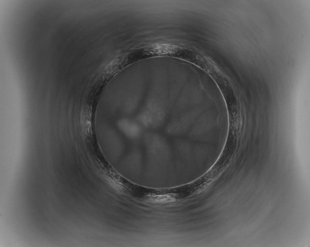 X0000116420553200912151000